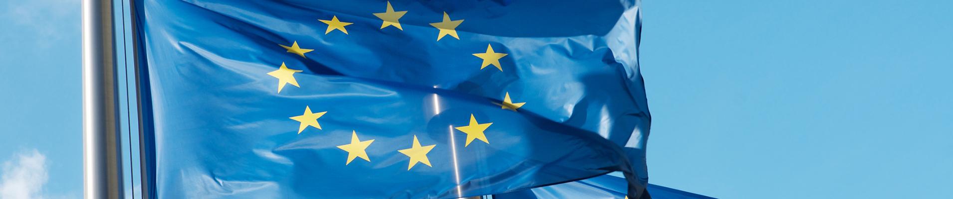 EU-projects