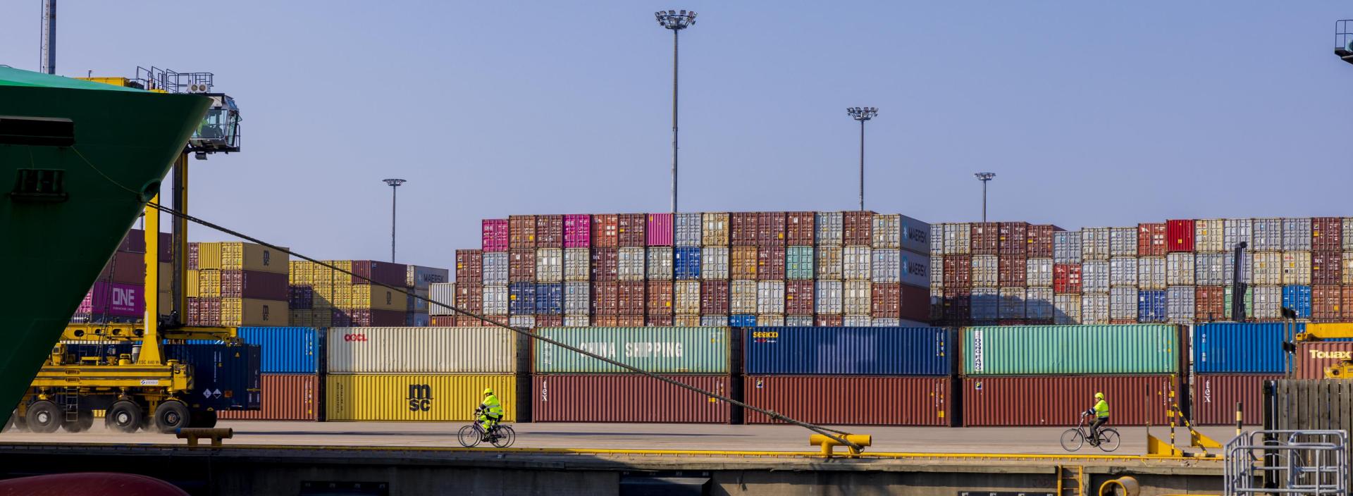 Mussalo C-laituri 2023 Vesa Hovi